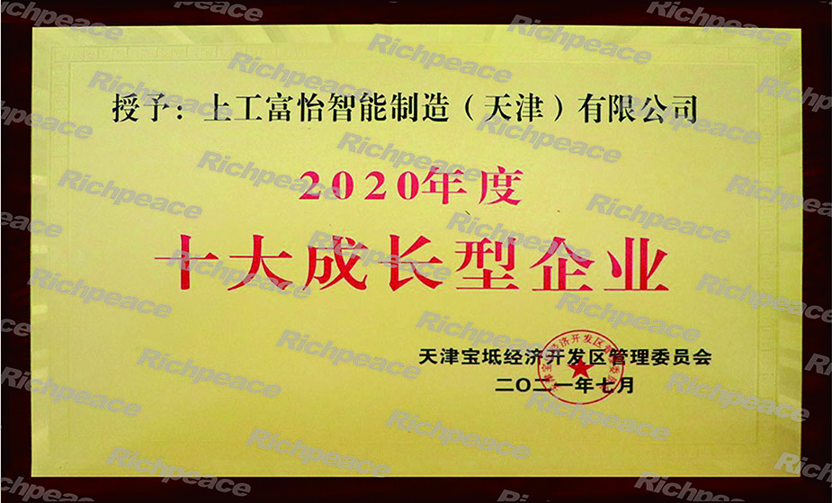 十大成長型企業 十大成長型企業